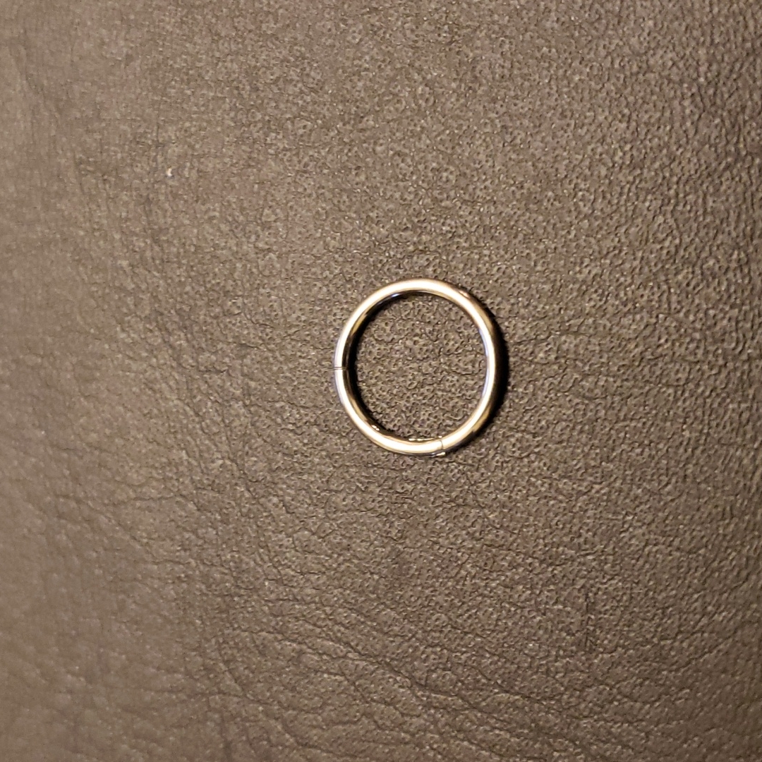 Titanium NoseEarringLip Ring